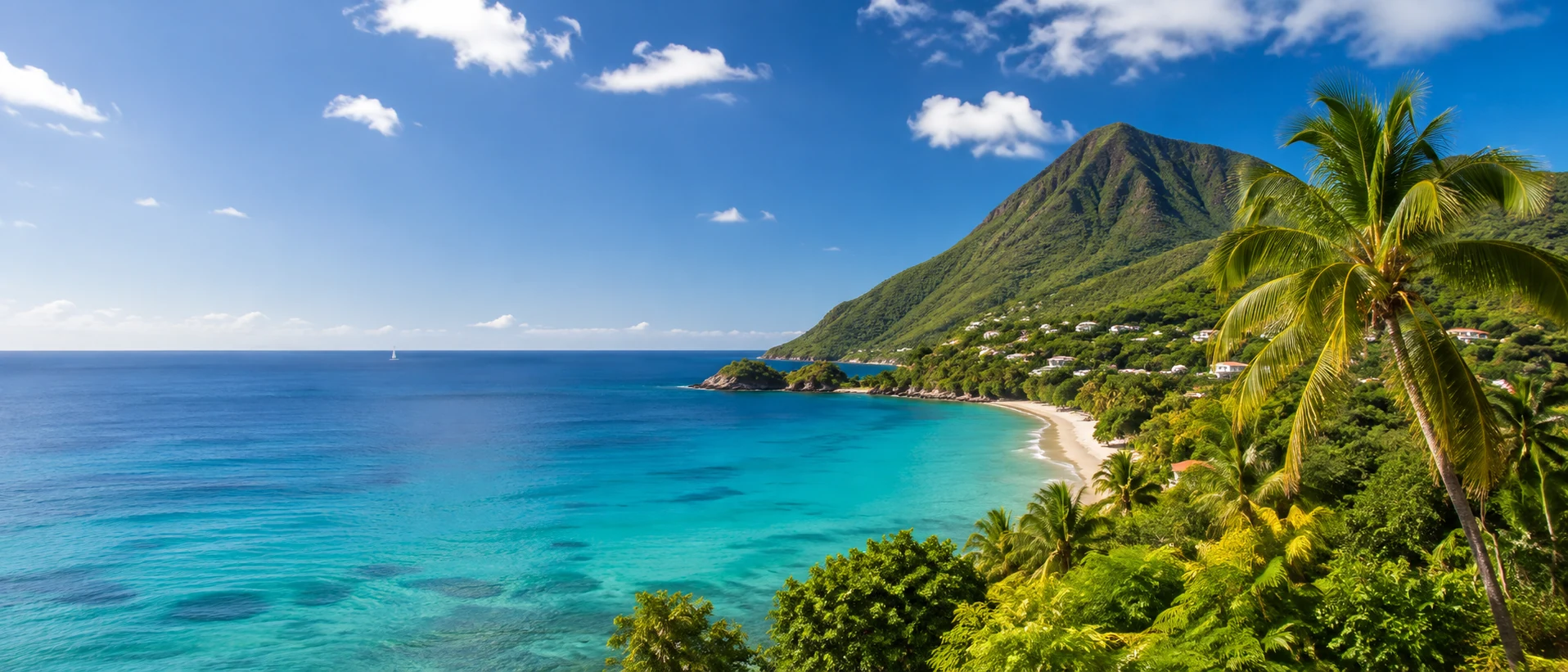 Guadeloupe — G.P.S. Gaine Propreté Services, nettoyage professionnel pour les entreprises et les particuliers.
